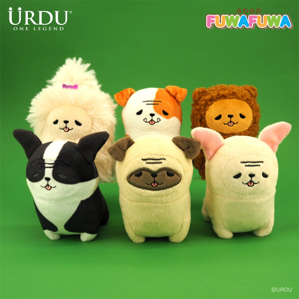 Woof² Japanese Ramen Dog Gift Box – Woof² HK